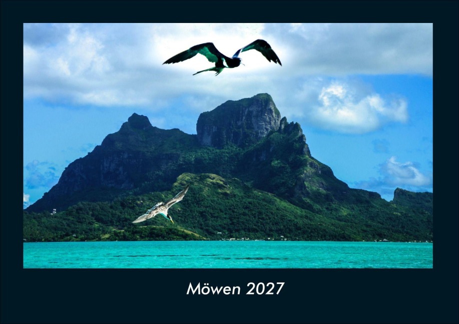 Möwen 2027 Fotokalender DIN A4 - Tobias Schmitt, Kevin Heber