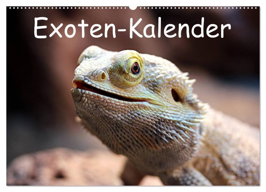 Exoten-Kalender (Wandkalender 2026 DIN A2 quer), CALVENDO Monatskalender - Bernd Witkowski