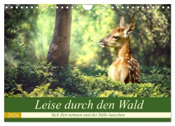 Leise durch den Wald. Sich Zeit nehmen und der Stille lauschen (Wandkalender 2026 DIN A4 quer), CALVENDO Monatskalender - Rose Hurley