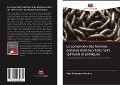 Cover-Bild zum Titel 'La conversion des femmes esclaves dans les récits noirs spirituels et politiques' von 'José Endoença Martins'