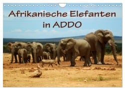 Cover-Bild zum Titel 'Afrikanische Elefanten in ADDO (Wandkalender 2026 DIN A4 quer), CALVENDO Monatskalender' von 'Anke van Wyk'