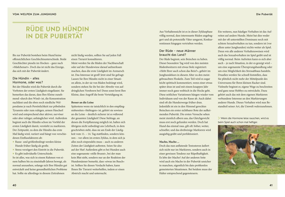 InsideView 6