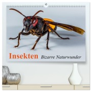 Insekten ¿ Bizarre Naturwunder (hochwertiger Premium Wandkalender 2026 DIN A2 quer), Kunstdruck in Hochglanz - Elisabeth Stanzer