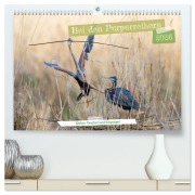 Bei den Purpurreihern (hochwertiger Premium Wandkalender 2026 DIN A2 quer), Kunstdruck in Hochglanz - Frederic Bauer