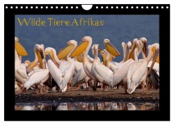 Cover-Bild zum Titel 'Wilde Tiere Afrikas (Wandkalender 2026 DIN A4 quer), CALVENDO Monatskalender' von 'Uta Depner'