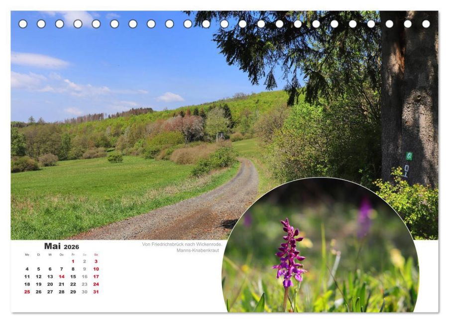InsideView 10