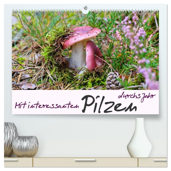 Mit interessanten Pilzen durchs Jahr (hochwertiger Premium Wandkalender 2026 DIN A2 quer), Kunstdruck in Hochglanz - LianeM LianeM