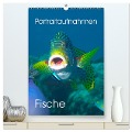 Portraitaufnahmen - Fische (hochwertiger Premium Wandkalender 2025 DIN A2 hoch), Kunstdruck in Hochglanz - Ute Niemann