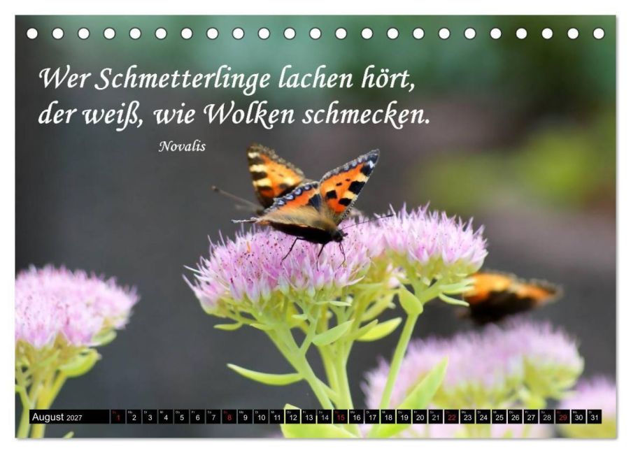 InsideView 13