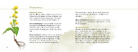 InsideView 6