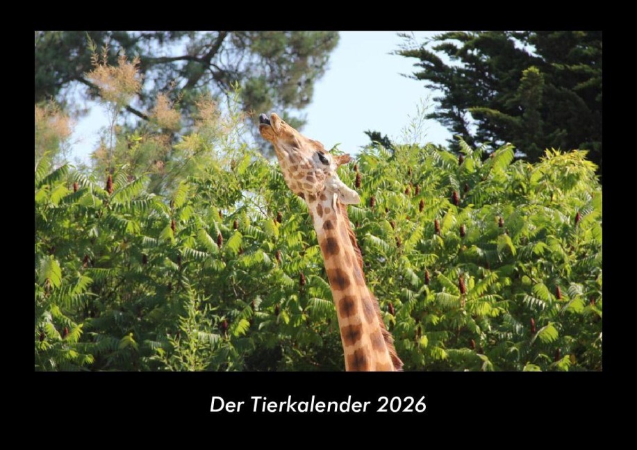 Der Tierkalender 2026 Fotokalender DIN A3 - Tobias Becker