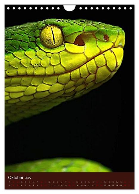 InsideView 2
