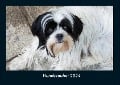Hundezauber 2024 Fotokalender DIN A4 - Tobias Becker
