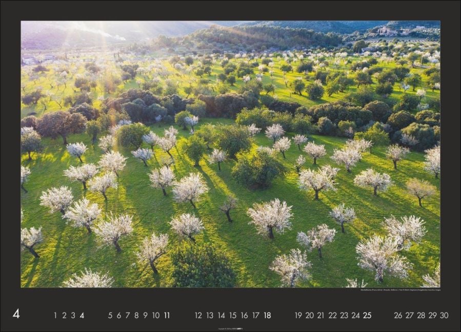 InsideView 4