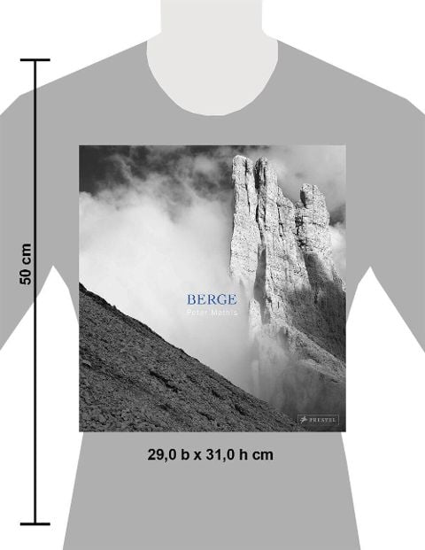 InsideView 13