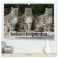Schneeleoparden. Perfekte Raubkatzen-Schönheiten (hochwertiger Premium Wandkalender 2025 DIN A2 quer), Kunstdruck in Hochglanz - Elisabeth Stanzer