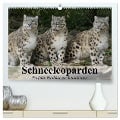 Schneeleoparden. Perfekte Raubkatzen-Schönheiten (hochwertiger Premium Wandkalender 2025 DIN A2 quer), Kunstdruck in Hochglanz - Elisabeth Stanzer