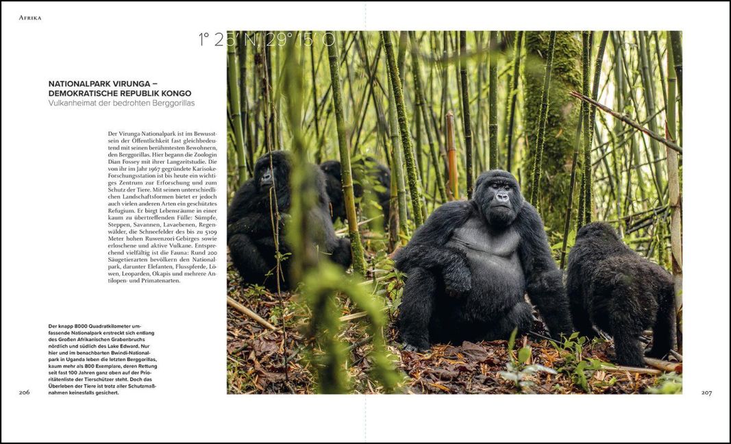 InsideView 10