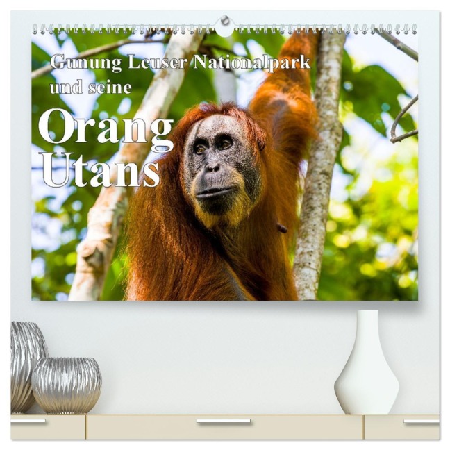 Gunung Leuser Nationalpark und seine Orang Utans (hochwertiger Premium Wandkalender 2026 DIN A2 quer), Kunstdruck in Hochglanz - Frank Baumert