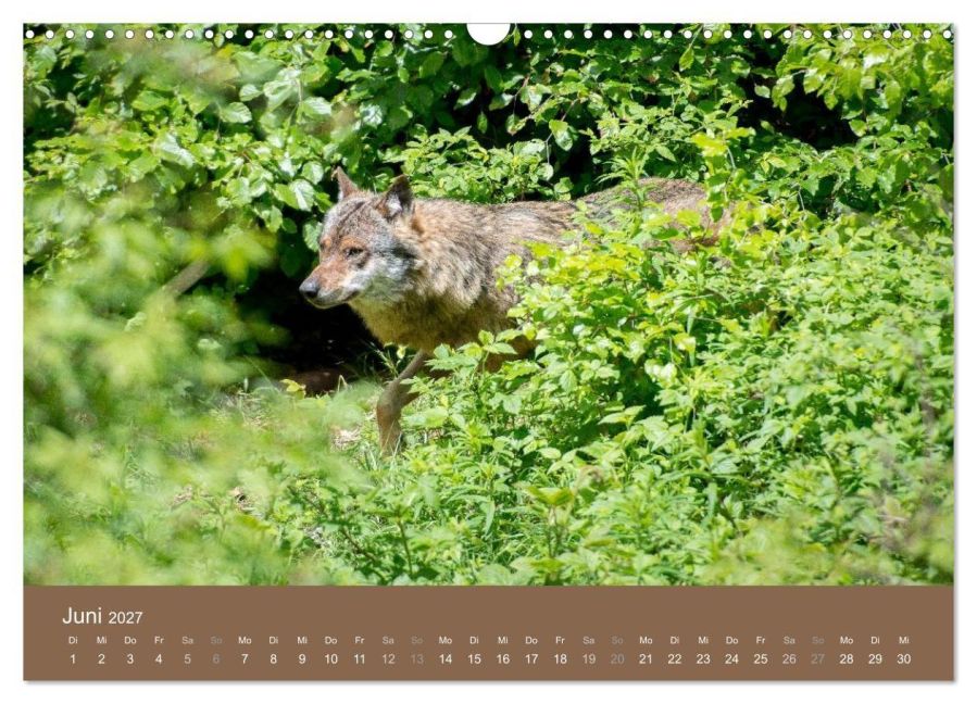 InsideView 11