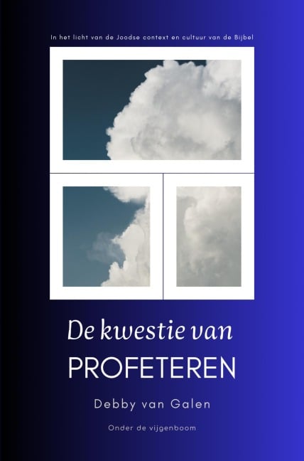 De kwestie van profeteren - Debby van Galen