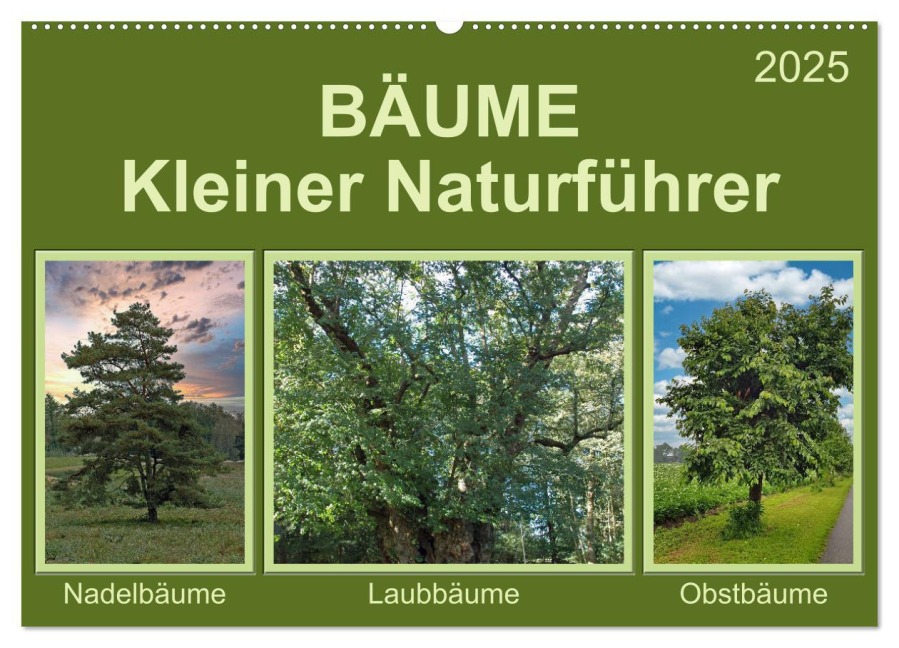 Bäume Kleiner Naturführer (Wandkalender 2025 DIN A2 quer), CALVENDO Monatskalender - Claudia Kleemann