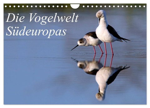 Die Vogelwelt Südeuropas (Wandkalender 2024 DIN A4 quer), CALVENDO Monatskalender - Benny Trapp