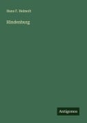 Cover-Bild zum Titel 'Hindenburg' von 'Hans F. Helmolt'