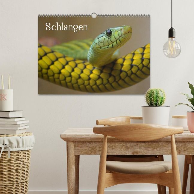 InsideView 1