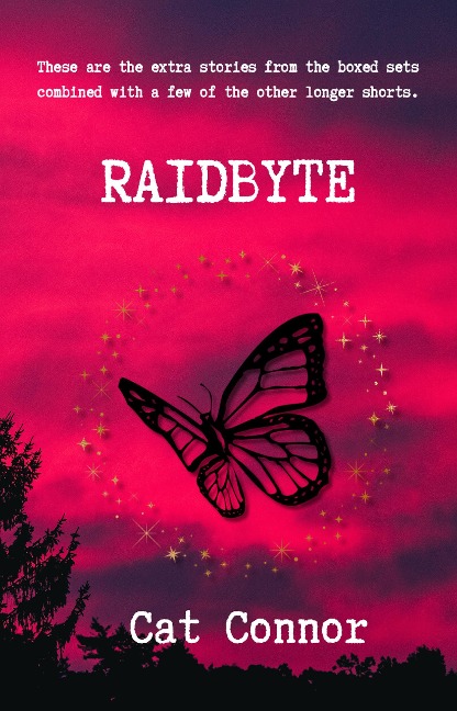 Raidbyte (Byte Series, #13) - Cat Connor
