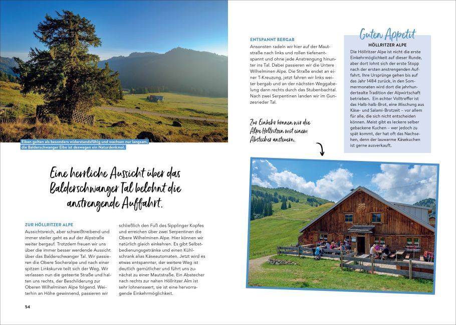 InsideView 6
