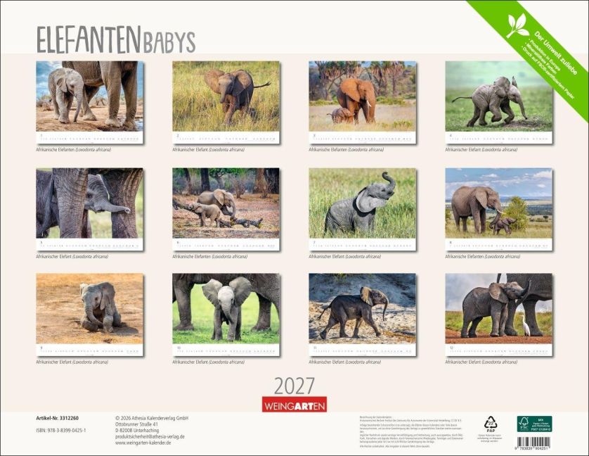 InsideView 15