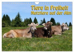 Tiere in Freiheit - Nutztiere auf der Alm (Wandkalender 2026 DIN A4 quer), CALVENDO Monatskalender - Georg Niederkofler