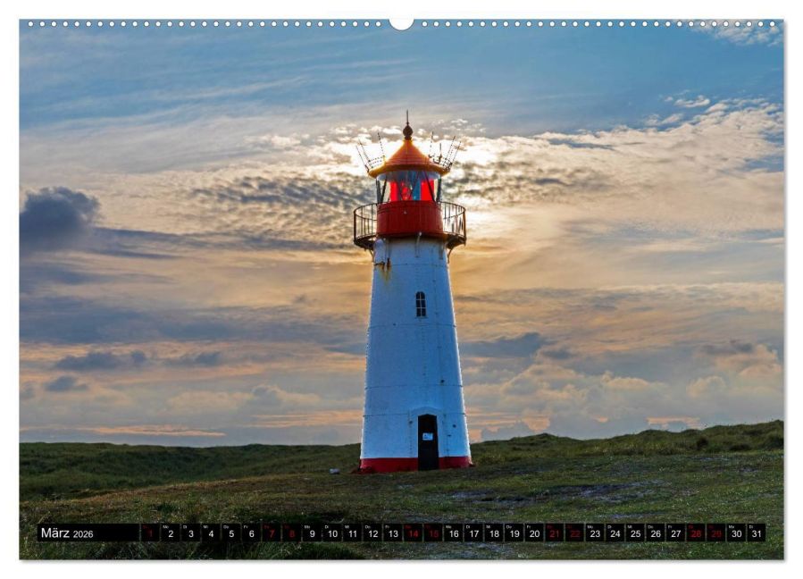 InsideView 8