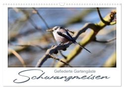 Cover-Bild zum Titel 'Gefiederte Gartengäste, Schwanzmeisen (Wandkalender 2026 DIN A3 quer), CALVENDO Monatskalender' von ''