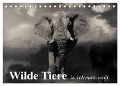 Wilde Tiere in schwarz-weiß (Tischkalender 2024 DIN A5 quer), CALVENDO Monatskalender - Elisabeth Stanzer