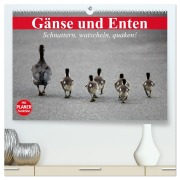 Gänse und Enten. Schnattern, watscheln, quaken! (hochwertiger Premium Wandkalender 2026 DIN A2 quer), Kunstdruck in Hochglanz - Elisabeth Stanzer