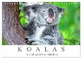 Koalas - Kuscheliges Symbol Australiens (Wandkalender 2025 DIN A4 quer), CALVENDO Monatskalender - Dieter Meyer