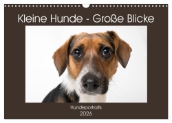 Cover-Bild zum Titel 'Kleine Hunde - Große Blicke (Wandkalender 2026 DIN A3 quer), CALVENDO Monatskalender' von 'Akrema-Photography Akrema-Photography'