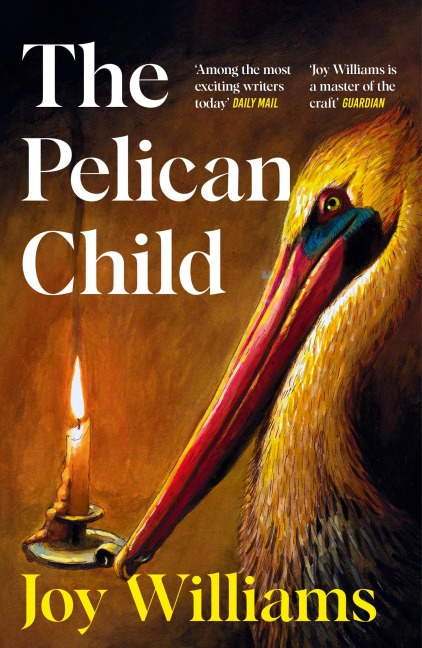 The Pelican Child - Joy Williams