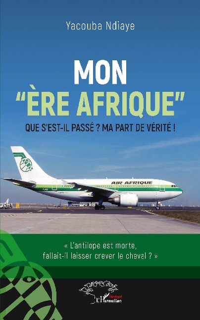 Mon "ère Afrique" - Ndiaye