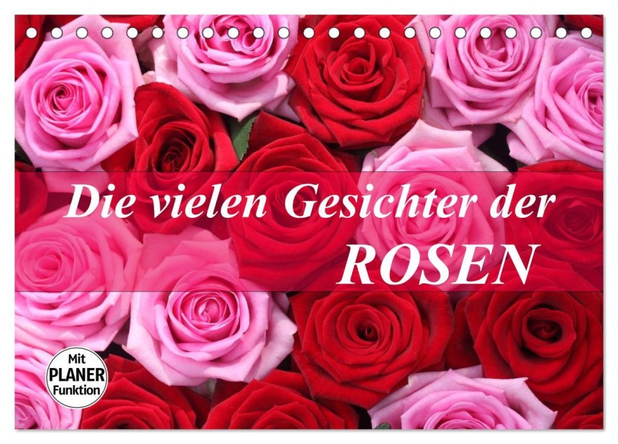 Die vielen Gesichter der Rosen (Tischkalender 2025 DIN A5 quer), CALVENDO Monatskalender - Gisela Kruse