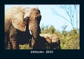 Elefanten 2023 Fotokalender DIN A5 - Tobias Becker