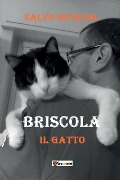 Briscola il Gatto - Salvo Nicolosi