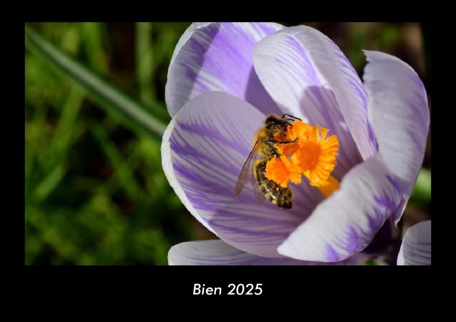 Bien 2025 Fotokalender DIN A3 - Tobias Becker