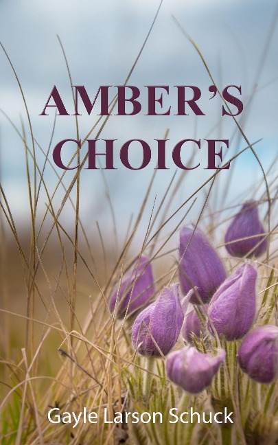 Amber's Choice - Gayle Larson Schuck