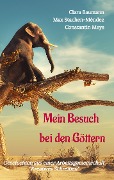 Cover-Bild zum Titel 'Mein Besuch bei den Göttern' von 'Clara Baumann, Constantin Meys, Max Stachen'