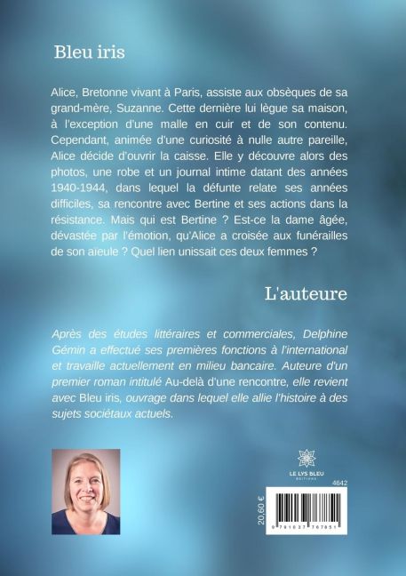 InsideView 1