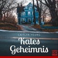 Cover-Bild zum Titel 'Kates Geheimnis' von 'Caitlyn Young'