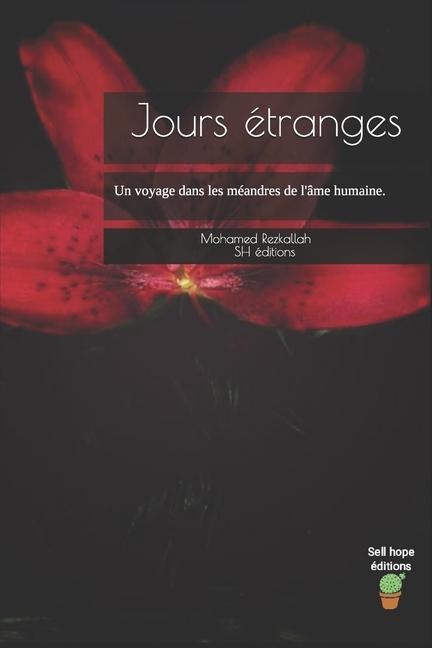 Jours étranges - Mohamed Rezkallah